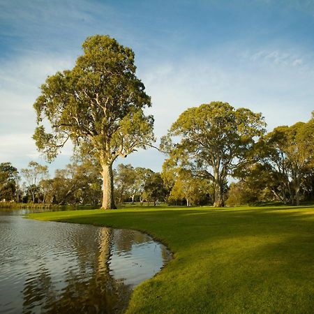 Serafino McLaren Vale Exterior foto