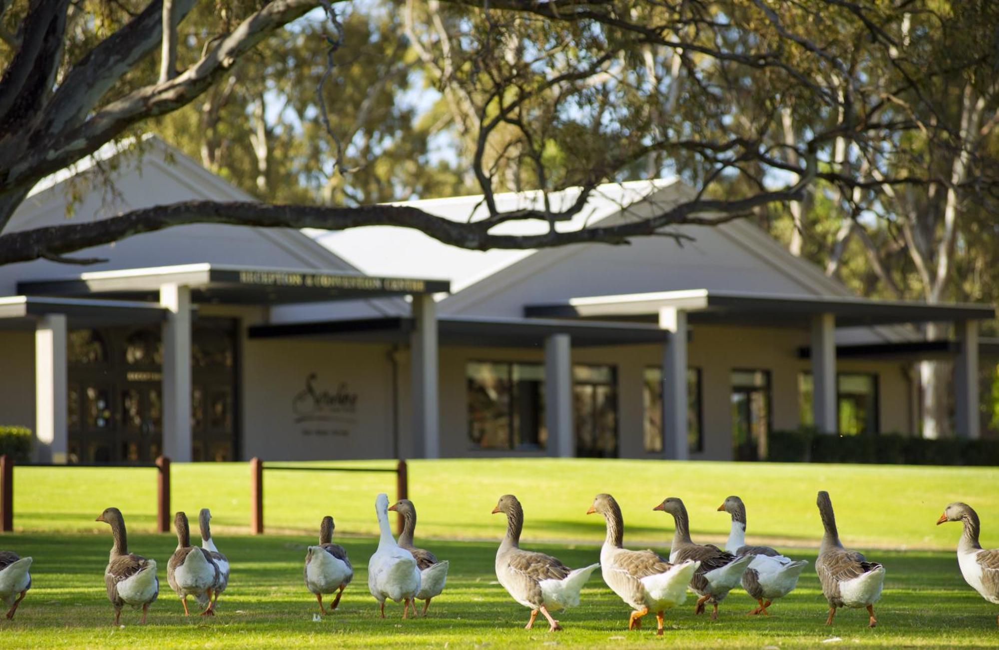 Serafino McLaren Vale Exterior foto